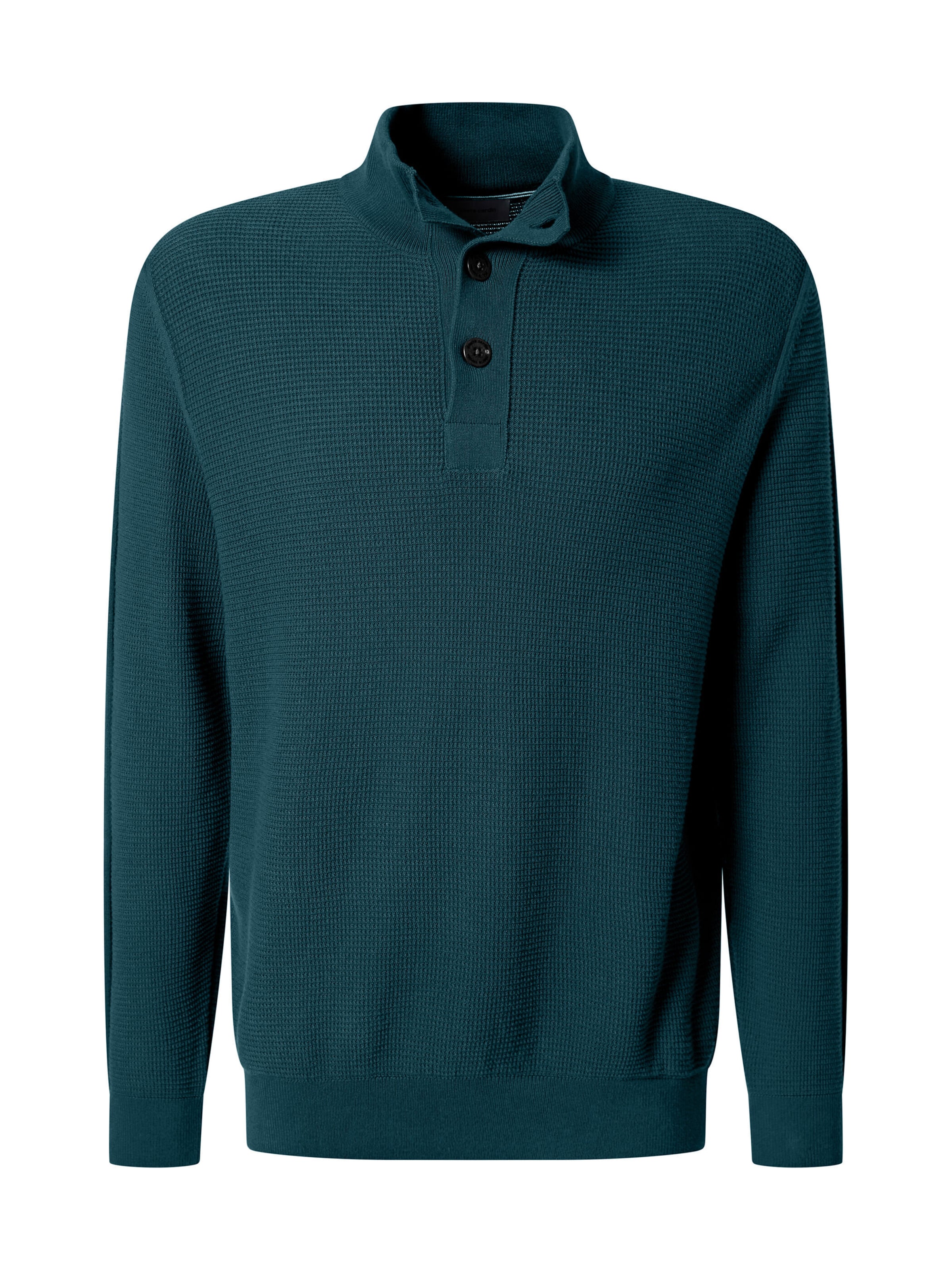 PIERRE CARDIN Sweater in Green: front