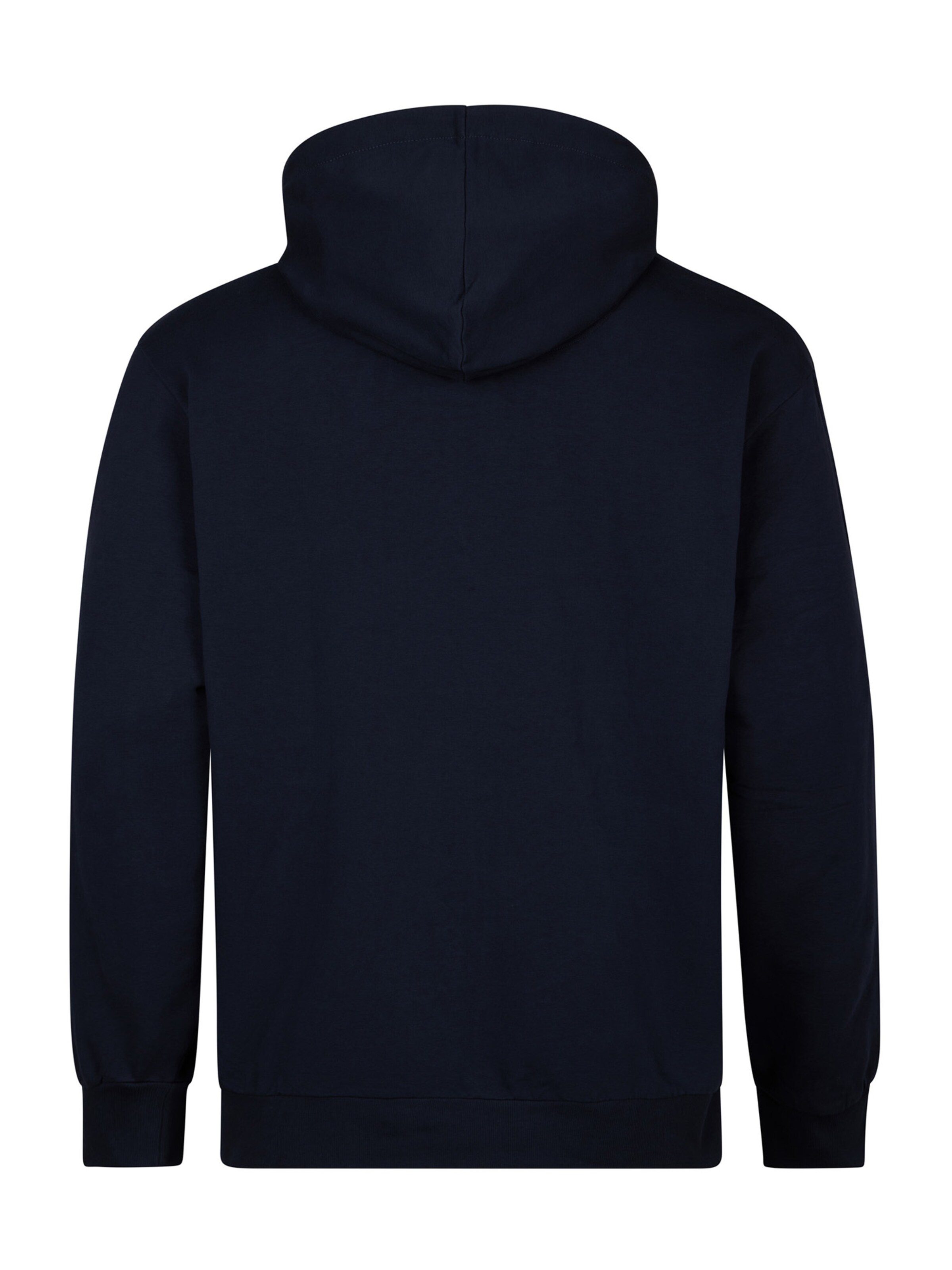 Petrol Industries Zip-Up Hoodie in Blue