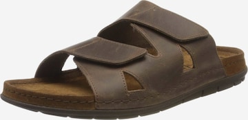 ROHDE Mules in Brown: front