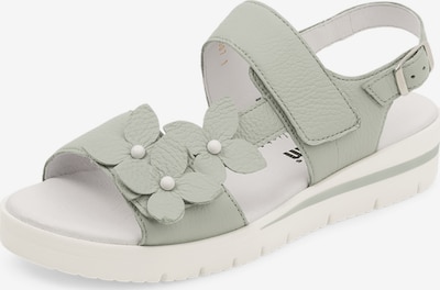 VITAFORM Riemensandale in pastellgrün / weiß, Produktansicht