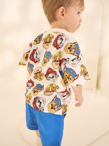 Next Shirt 'Paw Patrol' in Mixed colours
