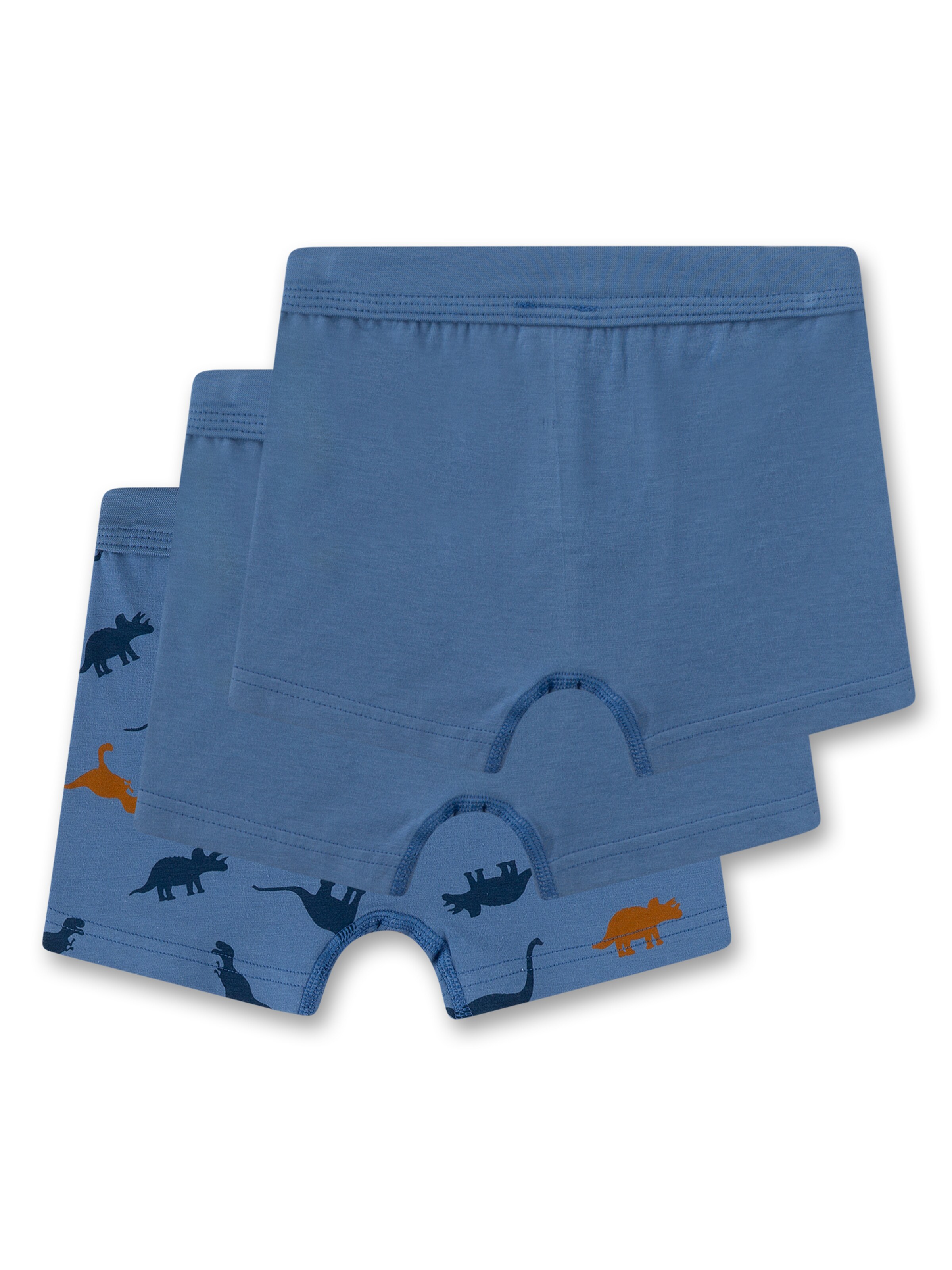 Sanetta Underpants in Blue