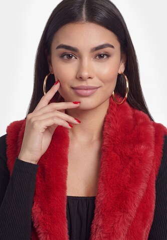 faina - Colete em vermelho