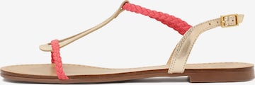 Sandales à lanières Kazar en rose : devant