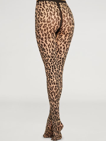 Wolford Fine tights 'Josey' in Beige