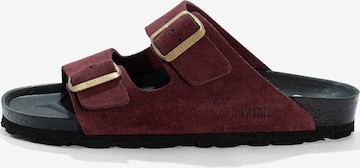 raudona Bayton Šlepetės 'Atlas': priekis