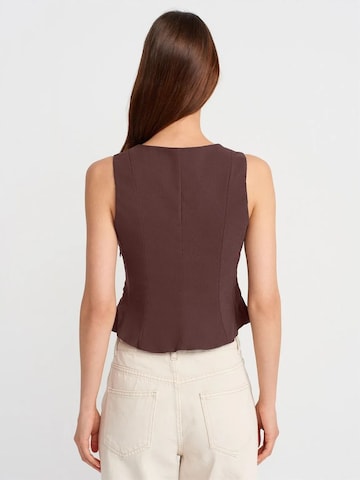 Haut Dilvin en marron