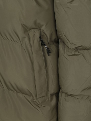 Superdry Wintermantel‌‌‌‌ in Grün