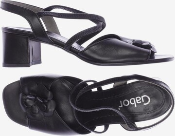 GABOR Sandals & High-Heeled Sandals in 35,5 in Black: front