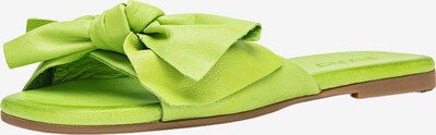 INUOVO Muiltjes in de kleur Neongroen, Productweergave