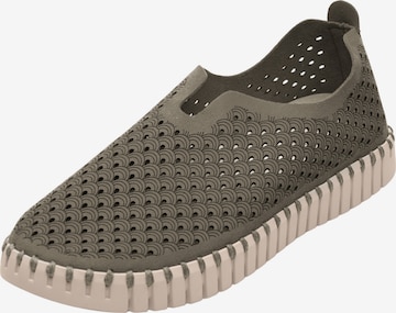 ILSE JACOBSEN Slip On 'Tulip3275' in Grün: Vorderseite