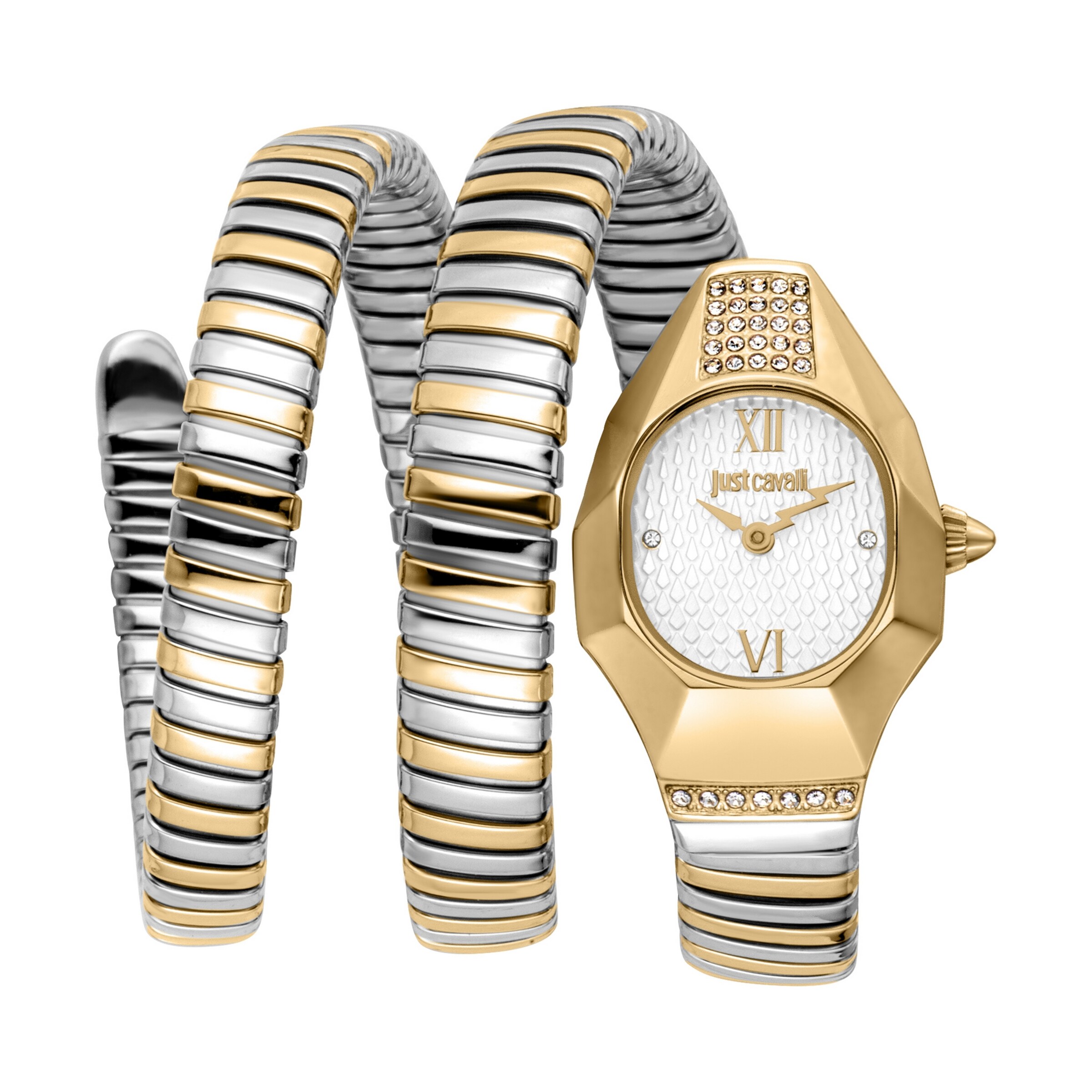 Just Cavalli Time Analog Watch in Gold: front