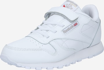 Reebok Sneakers in White: front