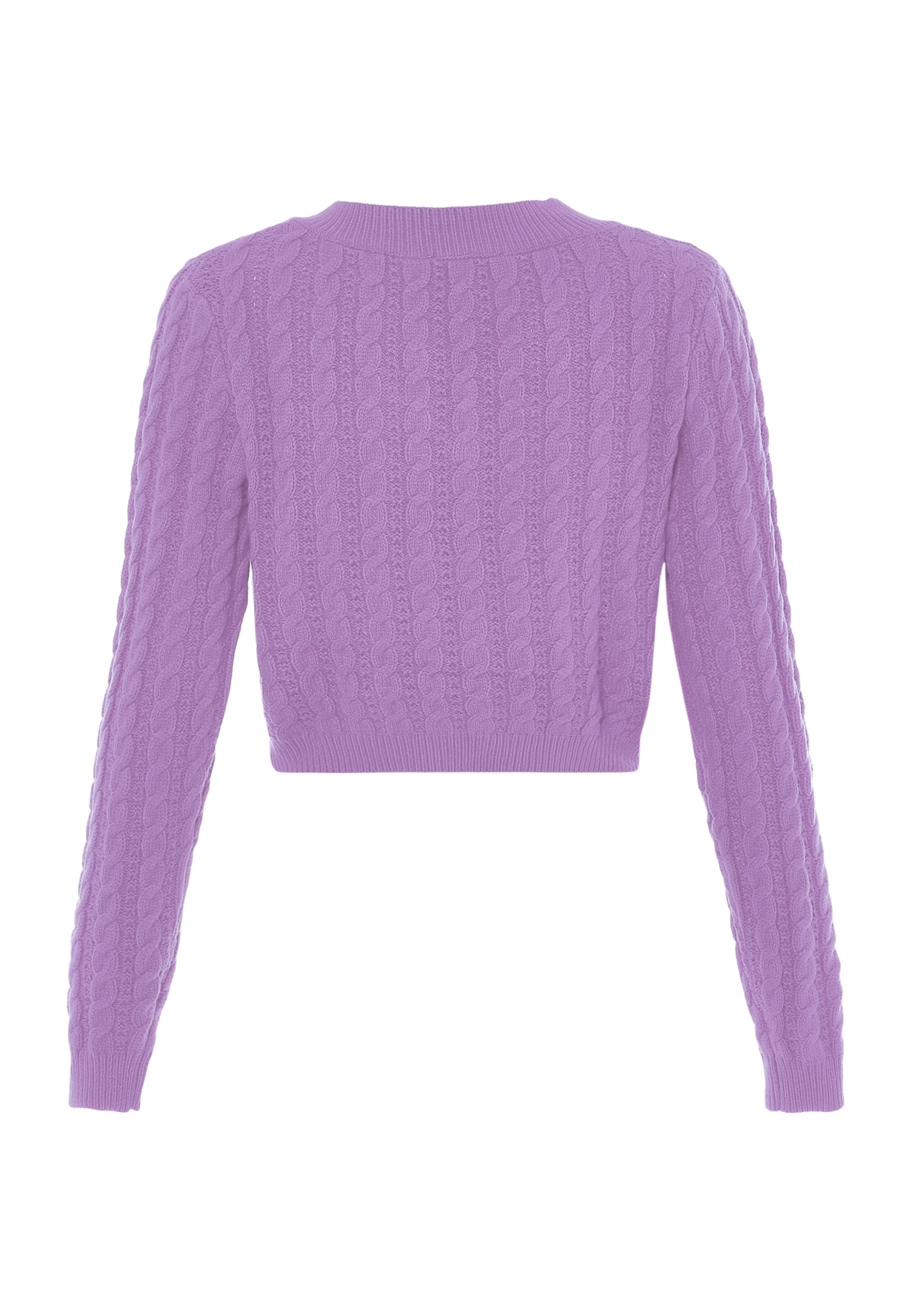 aleva Sweater in Purple