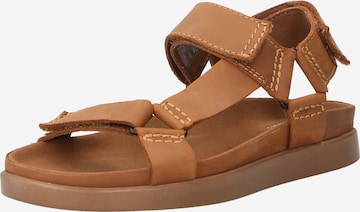 CLARKS Sandal 'Sunder Range' in Brown: front