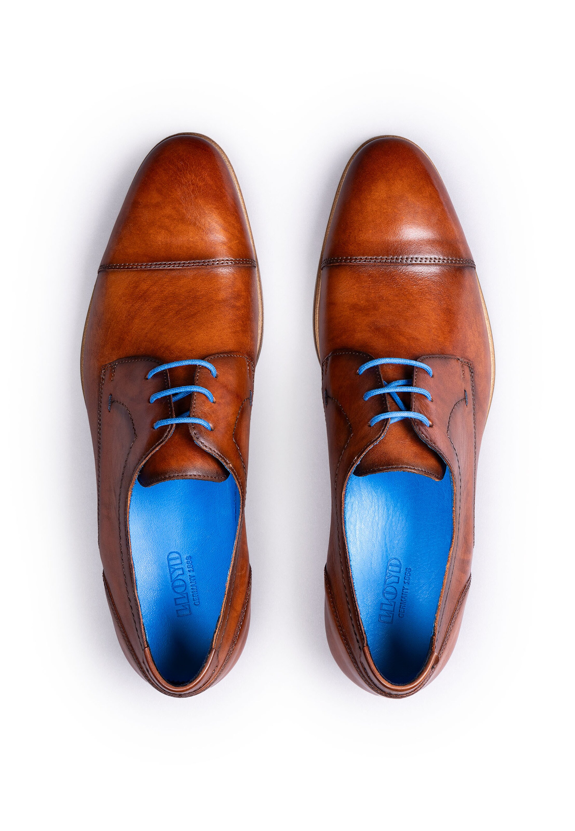 LLOYD Schnürschuh 'GILROY' in Braun