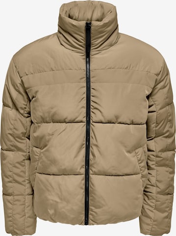 Only & Sons Winter Jacket 'Everett' in Brown: front