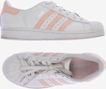 ADIDAS ORIGINALS Sneakers & Trainers in 37,5 in White: front