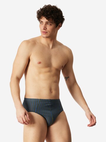 SCHIESSER Slip '95/5 Essentials - Organic Cotton' in Blauw