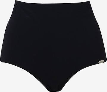 juoda SUNFLAIR Bikinio kelnaitės: priekis