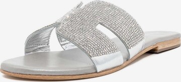 KAMMI Classic Flats in Silver