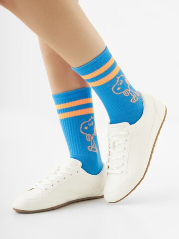 CODELLO Socks in Blue