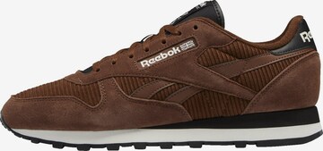 Reebok Classics Sneaker in Braun: predná strana