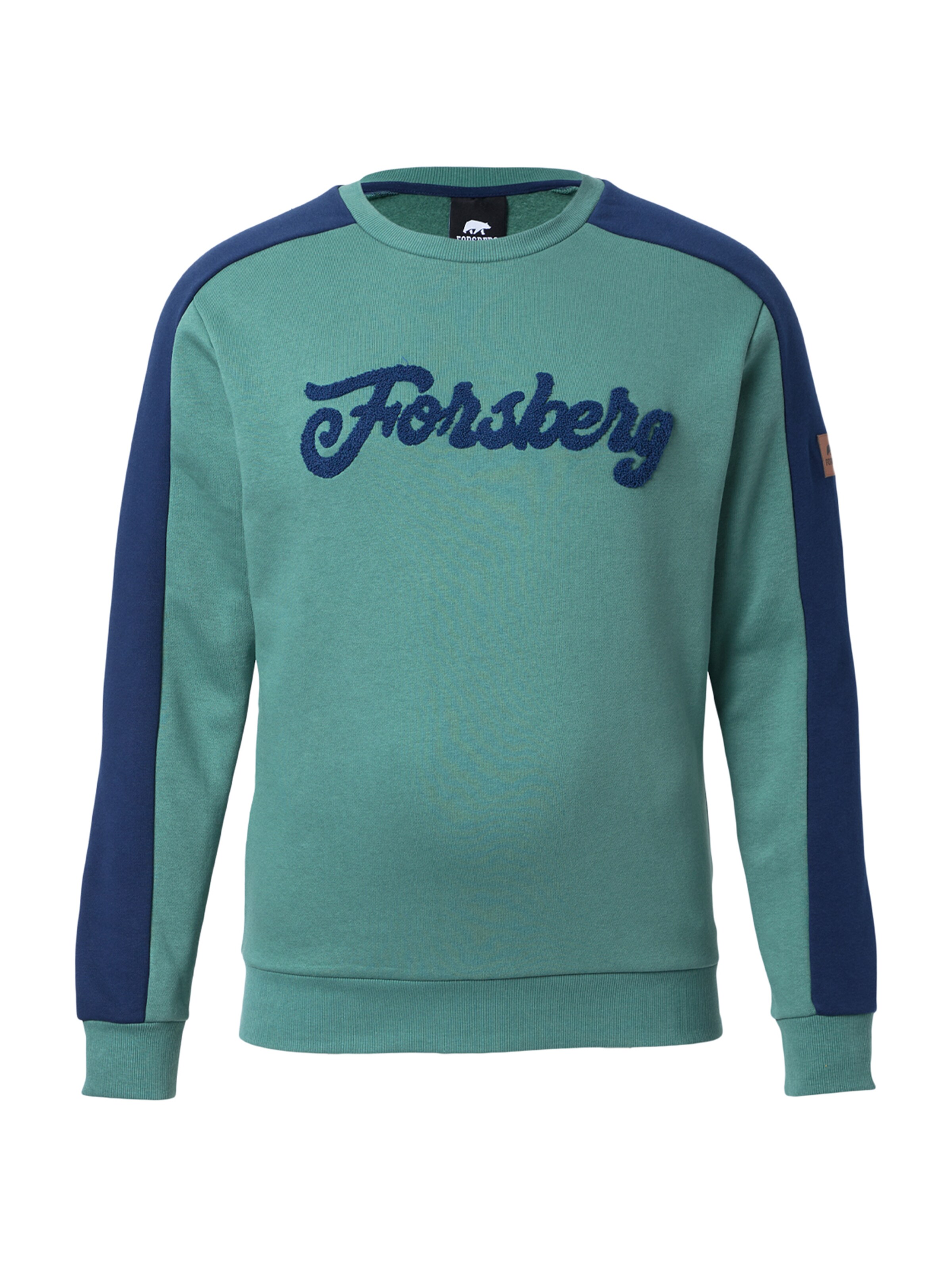 FORSBERG Sweatshirt 'mit Vintage Logo Sweatshirt' in Green