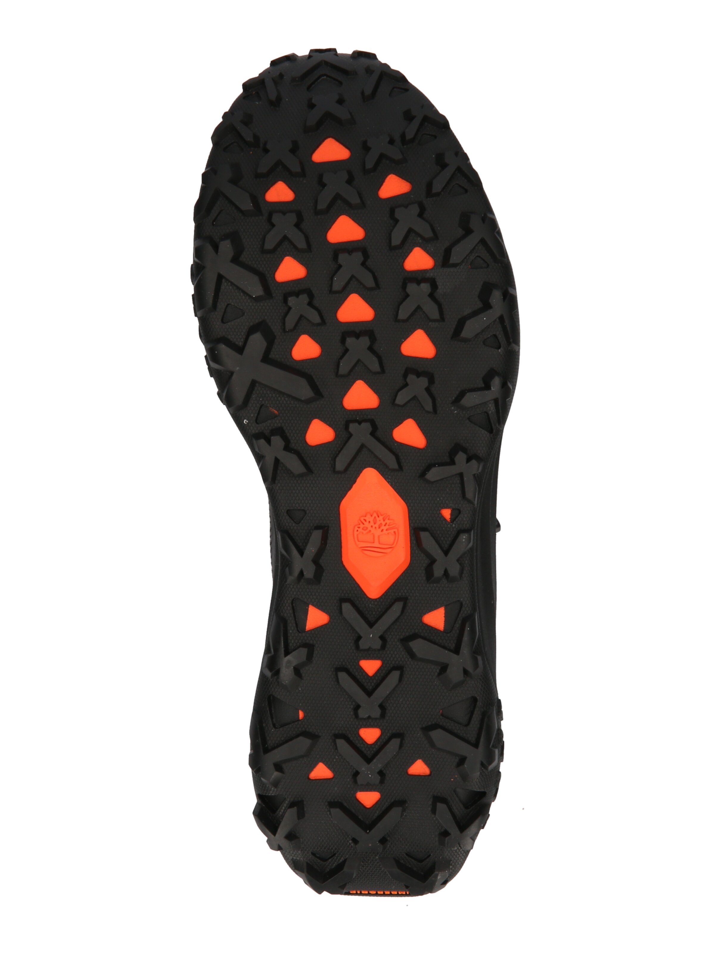 Baskets basses TIMBERLAND en noir