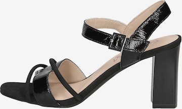 CAPRICE Strap Sandals in Black