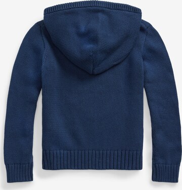 Polo Ralph Lauren Pullover i blå