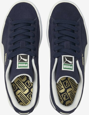 Sneaker de la PUMA pe albastru