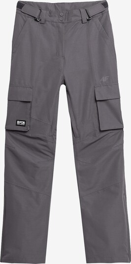 Pantaloni outdoor 4F pe gri, Vizualizare produs