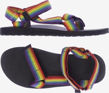 TEVA Sandalen 44,5 in Mischfarben: predná strana