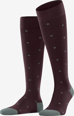 FALKE Kniestrümpfe 'Dot' in Rot: Vorderseite