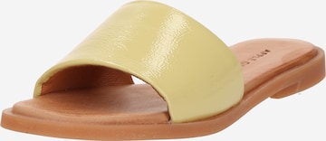 geltona Apple of Eden Šlepetės 'AGNIS': priekis