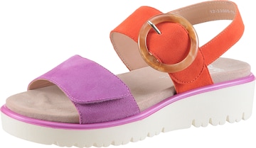 ARA Sandals in Purple: front