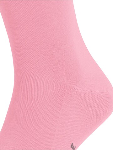 FALKE Socken 'Tiago'‌‌‌‌ in Pink