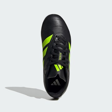 ADIDAS PERFORMANCE Sportschuh in Schwarz