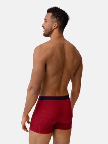 Boxers 'Bamboo' DANISH ENDURANCE en mélange de couleurs