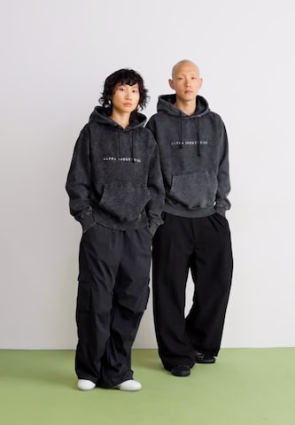 ALPHA INDUSTRIESSweater majica - crna boja