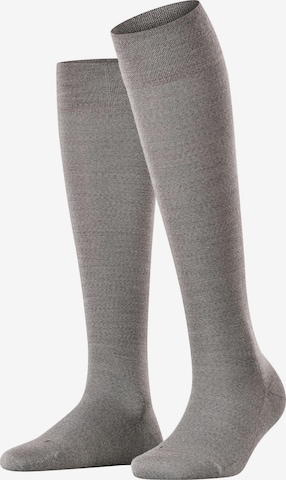 FALKE Overknee Strümpfe 'Sensitive Berlin' in Grau: Vorderseite