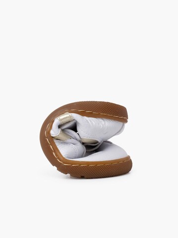 Pisamonas Sneakers in Gold