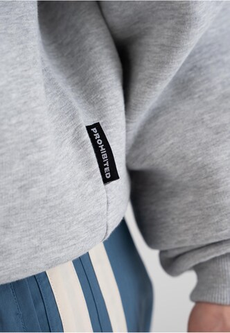 Prohibited Sweater in Grey