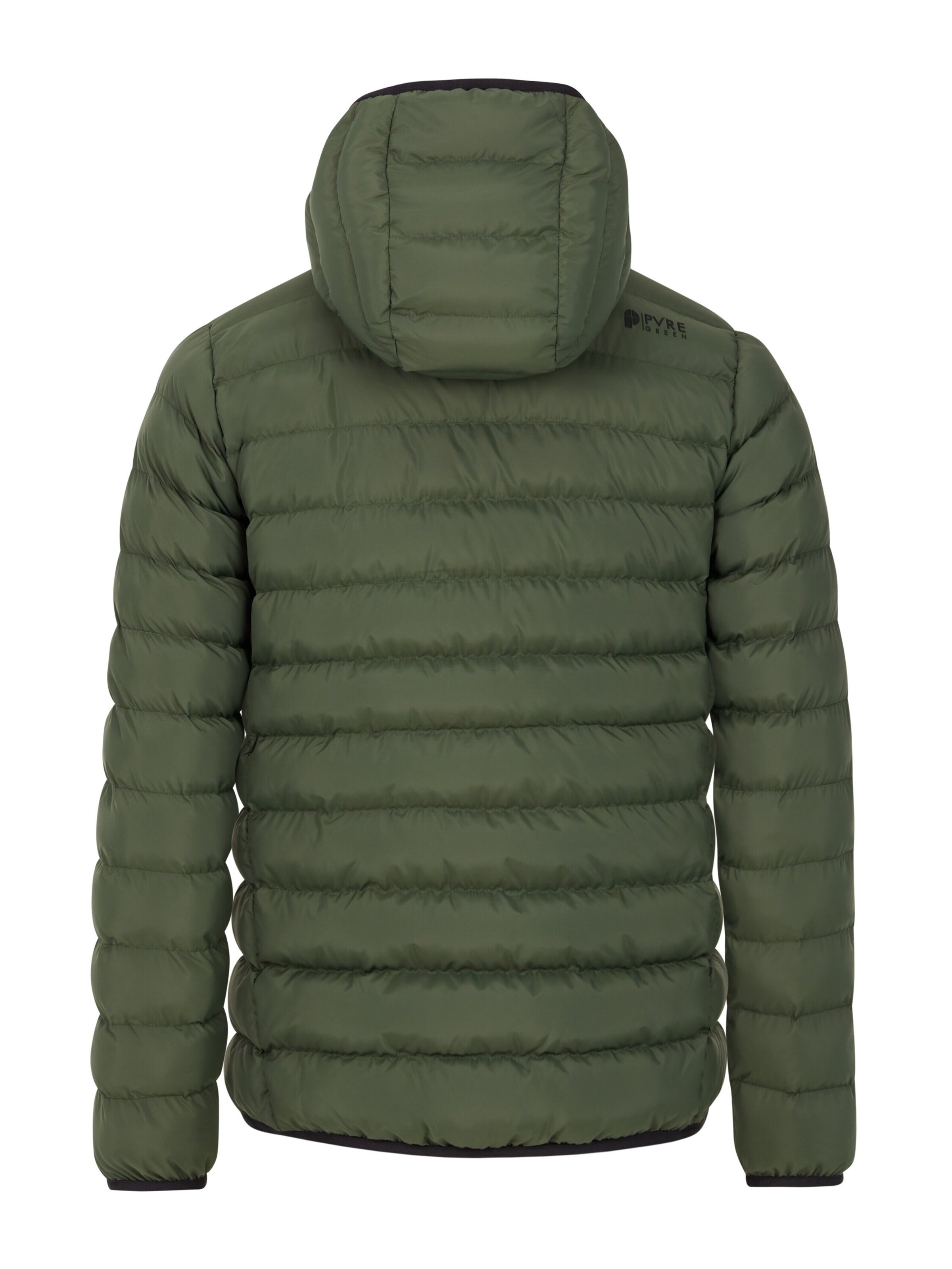 PROTEST Winter Jacket 'PRTBASSO' in Green