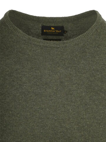 Steppin' out Pullover‌‌‌‌‌‌‌‌‌‌ in Grün