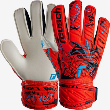 REUSCH Athletic Gloves 'Attrakt Solid Finger Support' in Red: front