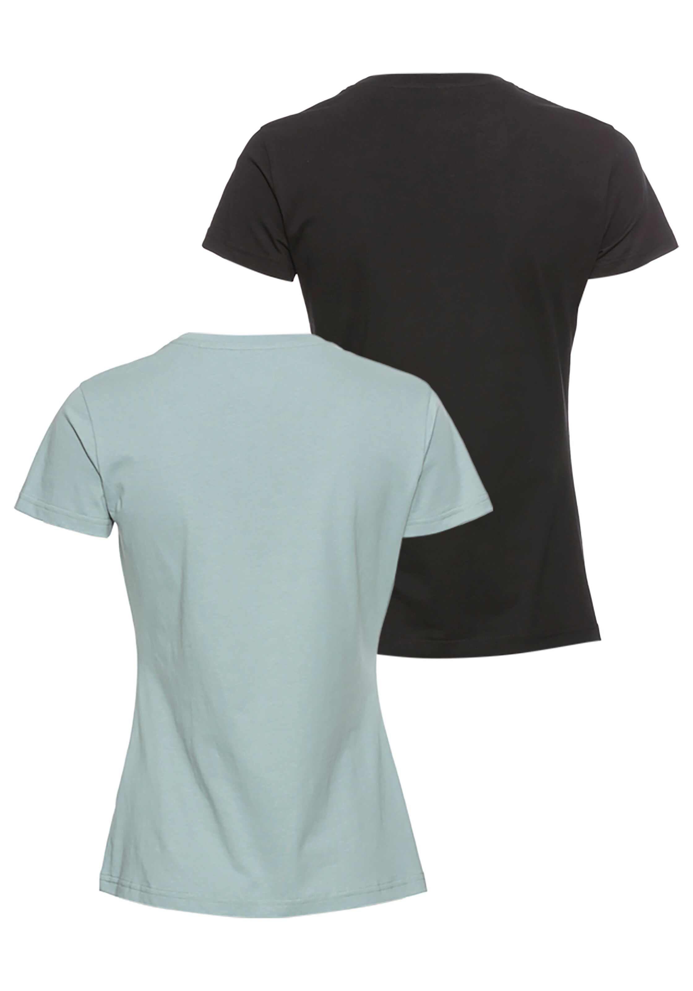 Maglietta di LONSDALE in verde