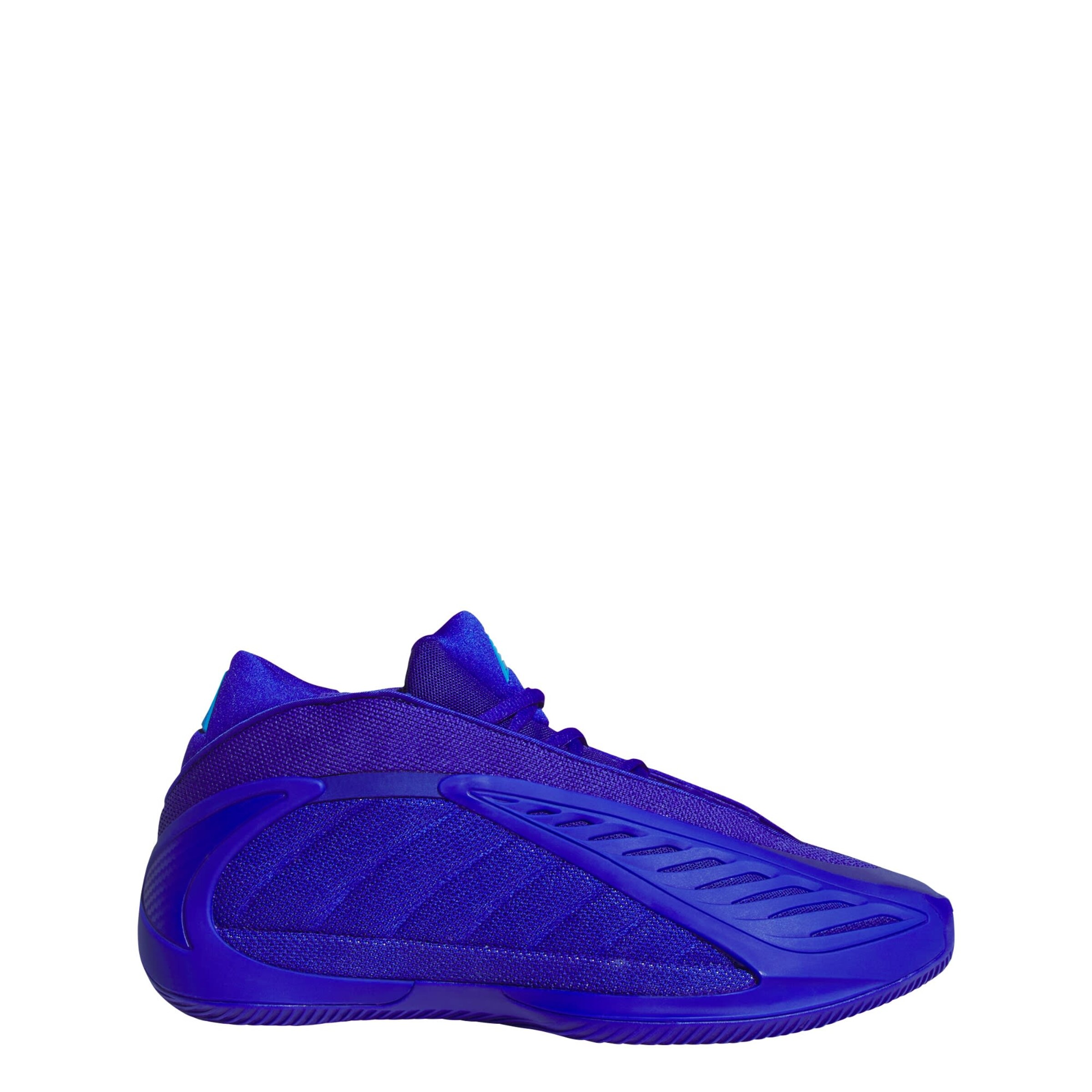 ADIDAS PERFORMANCE Sportschoen 'Anthony Edwards 2' in Blauw