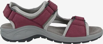 Sandales de randonnée LOWA en violet